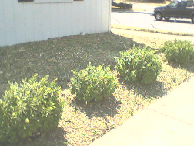 landscape with chips